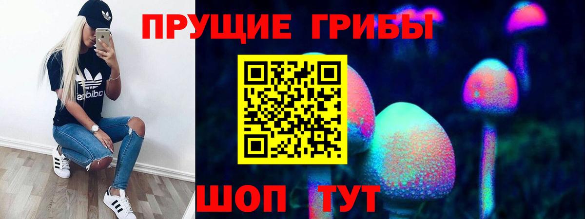 Ипатово  закладка  Вход с VPN  Псилоцибиновые грибы Psilocybine cubensis  Галлюциногенные грибы Psilocybine cubensis 